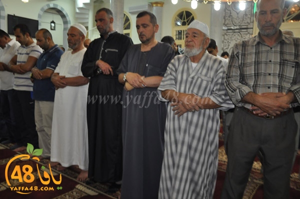 tarawee7 salah nozha (17).JPG